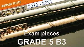 Flute ABRSM Grade 5 20182021 B3 Peterson Berger’s Sommarsång  ABRSM from 2022 B7 [upl. by Notyap]