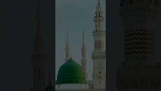 Madine ka Safar hai aur main namgeeda namgeedanew Islamic short video [upl. by Donella]