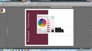 Defining a Pantone color in your MS Publisher document [upl. by Eddra]