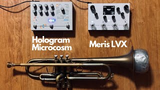 Hologram Electronics Microcosm amp Meris LVX  Trumpet [upl. by Enyala949]