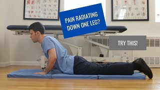 BEST Exercise for Sciatica  Herniated Disc RELIEF [upl. by Madid]