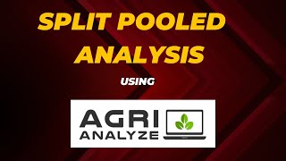 Split Plot Pooled Analysis [upl. by Braswell]