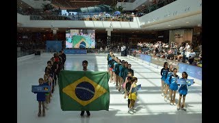 Campeonato Brasileiro de Patinação Artística no Gelo 2019 [upl. by Zenda]