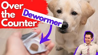 Over the Counter Dog Dewormer Dr Dan talks dewormers [upl. by Astra]