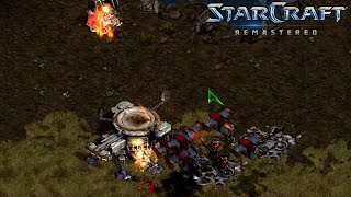 Distrugem baza celor de la Confederatie  Starcraft Remastered 3 [upl. by Harwin]