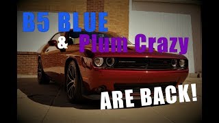 B5 Blue and Plum Crazy Purple Are Back For Dodge Challengers [upl. by Trebloc]