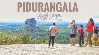 Pidurangala Hike  Sri Lanka Travel Vlog [upl. by Trenton]