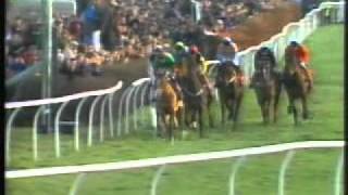 Horse Racing 1991 King George VI Chase Desert Orchid final race [upl. by Anissa186]