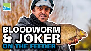 Bloodworm amp Joker Fishing On The Feeder [upl. by Huxham180]