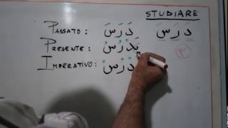 005 quotStudiarequot in arabo  Un verbo al dì  A verb a day  the verb quotTo studyquot in Arabic [upl. by Wicks]