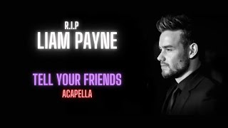 Liam Payne Tell Your Friends Acapella  Vocals Only [upl. by Imerej]