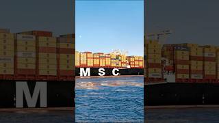 MSC ENTRY ⚓️🛳️ youtubeshorts viralvideo trending like [upl. by Pike]