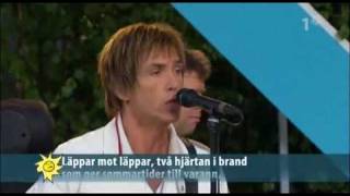 Per Gessle Sommartider Live Allsång på Skansen [upl. by Monty]