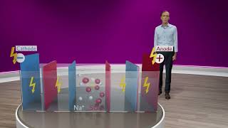 Patrik Stenner explains the electrodialysis  Evonik [upl. by Netsyrc]