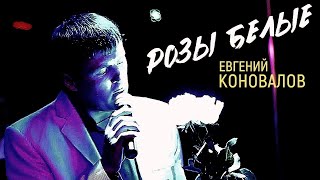 РОЗЫ БЕЛЫЕ  ХИТ 100 Евгений КОНОВАЛОВ [upl. by Averat]