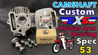 Cam custom EX5 Bearing spec 53 [upl. by Ahsinrat9]