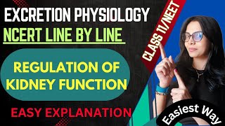 Regulation of kidney function Class 11 biology NEET [upl. by Ettennat]