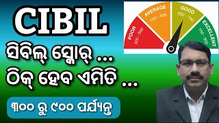 CIBIL SCORE ଠିକ୍ ହେବ କେମିତି How to improve Cibil score Credit Score correct CIBIL score in Odia [upl. by Mochun]