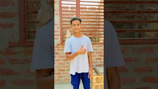 Hand Tame Kabutar Le Liya 🥰 minivlog dailyvlog shorts ytshorts pets kabutarkivideo [upl. by Alin]