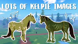 LOTS of Kelpie Picture Leaks  Horse Life [upl. by Kcirdnek530]