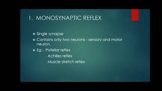 Reflexes  Monosynaptic and Multisynaptic Reflexes [upl. by Marmawke985]