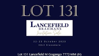 Lot 131 Lancefield M Gogango 7772MM H [upl. by Gambell]