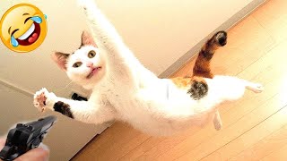 Ultimate Funny Cats and Dogs 🤣😻🐶 Funniest Animals 😂 part 63 [upl. by Orfinger451]