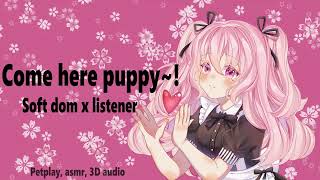 F4APetplay RP Cuddling my puppy you Soft dom x listener 3D audio ASMR [upl. by Eilsil]