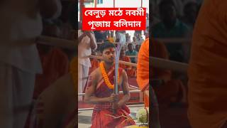 বেলুড় মঠে নবমী পূজায় বলিদান  Belur Math Durga Puja  Navami Puja [upl. by Rosner]