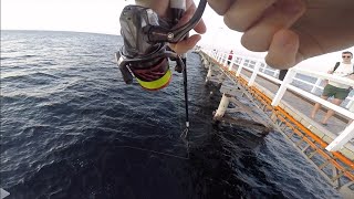 Fishing Busselton Jetty  Meelup Beach WA [upl. by Given416]