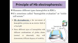 Hb electrophoresis [upl. by Lemra]