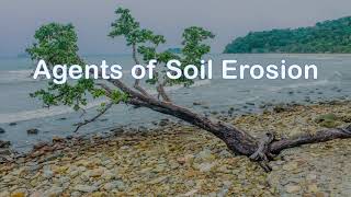 Agents of Soil Erosion and It Effects [upl. by Willy771]