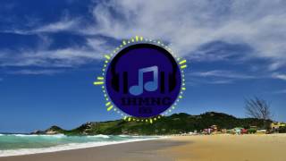 Kevin MacLeod  Beachfront Celebration  Latinesque Pop Loop [upl. by Dane]