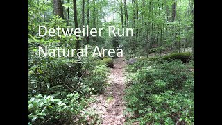 Detweiler Run Natural Area and my truck leaves me stranded [upl. by Attenrad]