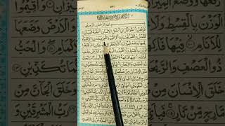 Surah Ar Rahman Beautiful Quran Recitation quran tilawatshort feed [upl. by Ecyrb]