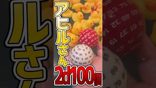 【TRPG】お風呂の温度は1d100℃、おもちゃは2d100個 trpg coc [upl. by Enilesoj725]