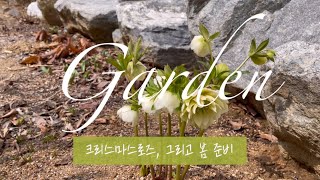 Garden 꽃도 없는데 정원일이 많아요 그럼요  봄꽃 크리스마스로즈 백합 글라디올러스 [upl. by Batruk697]