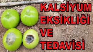 KALSİYUM EKSİKLİĞİ VE TEDAVİSİ LİNKTEKİ VİDEOLARI İZLEYİNİZ [upl. by Mariko]