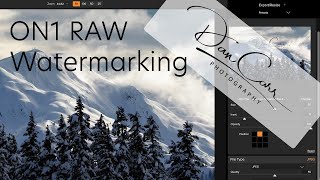 2 BEST Ways to Add a Signature Watermark In On1 Photo RAW [upl. by Goodson]