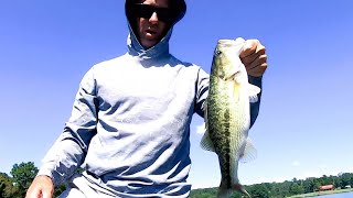 Catching bass at Logan Martin lake early October 2024 [upl. by Hillegass]