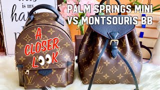 Louis Vuitton Palm Springs Mini vs MONTSOURIS BB Modernized 2020 Version [upl. by Follansbee256]