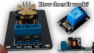 Inside of a SRD05VDCSLC And How a Relay Works [upl. by Bret]