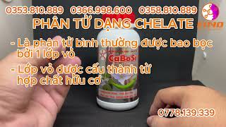 Phần 2 Giải thích Chelates phân tử trong CaBoSi  Canxi Bo Silic [upl. by Beghtol]