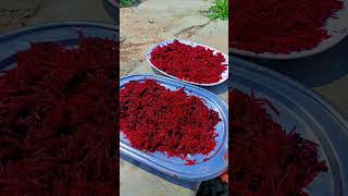 How to Make Beetroot Powder at Home  Chemical free Beetroot powder easy to make [upl. by Gentille]