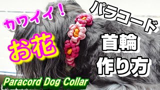 ペット用品 パラコードお花の首輪の作り方 paracorddog collarDIY手作り [upl. by Ileana480]