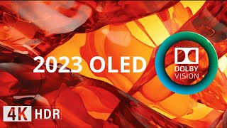 OLED Demo l 4K HDR 60FPS Dolby Vision  NextLevel Reality [upl. by Arihsaj136]