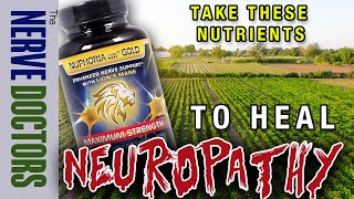 Take These Nutrients To Heal Neuropathy And HOW MUCH  The Nerve Doctors [upl. by Surovy407]