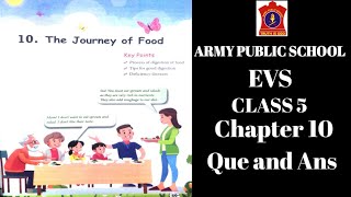 APS class 5 EVS chapter 10  THE JOURNEY OF FOOD  EXERCISE  APS  nksclasses [upl. by Audsley919]