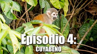 Ecuador Road Trip EP4  Guía de Viaje Cuyabeno [upl. by Galen696]