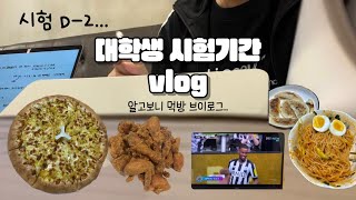 시험기간 vlog  이틀 뒤 시험 3개인데 올리는 브이로그   중간고사 대학생 자매 모교 방문 토트넘 치킨 카공 피자 [upl. by Mixie993]